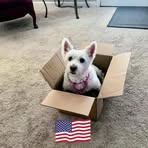 Jodi Benedict - Facebook