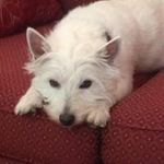 Jodi Benedict - @dlbenedict2003 - Instagram