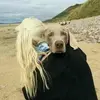 Jodie Benedict - @user4546238316637 - TikTok