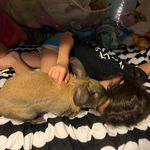 Jodi Bock Slater - @slaterjodi - Instagram
