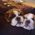 Jodi Bodnarchuk - @bodnarchukjodi - Instagram