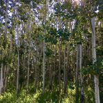Jodi Boucher - @jbouchwellness - Instagram