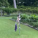 Jodi Boucher - @boucherjodi - Instagram