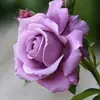 Jodie Boucher765 - @jodieboucher765 - TikTok