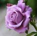 Jodie Boucher - Facebook