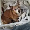 Jodi Boykin - @jodi.boykin - TikTok