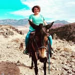 Jodi Bradshaw Hunt - @jodighunt - Instagram