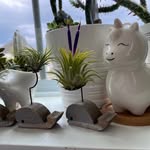 Jody Bradshaw - @jodybradshaw - Instagram