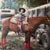 Jody Bunn - Facebook