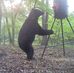 Jodi Burdick Collier - Facebook