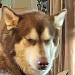 Jodi Burdick Hoover - @jodibhoover - Instagram