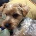 Jody Burdick - Facebook