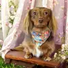 Jodi Campbell Pinnow - @jodi.campbell.pin - TikTok