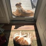 Jodi Cannon - @jodi.cannon.315 - Instagram