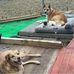 Jodi Carver - Facebook