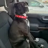 jodi_castle - @jodi_castle - TikTok