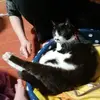 JodiCherry - @keagasabdfw - TikTok