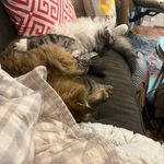 Jodi Clement - @jodiclement - Instagram