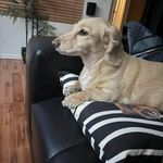 Jodi Larson Clifton - @jodiclifton - Instagram