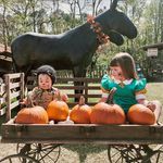 Jodi Schull Clifton - @breeeze3 - Instagram