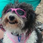 Jodi Cobb - @joedz - Instagram