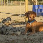 Jodi Cole - Facebook
