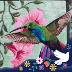 Jodi Cole - Facebook
