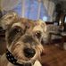 Jodi Coon - Facebook