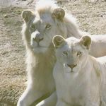 Jodi Coonrod - @coonrod.jodi - Instagram