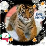 Jodi Coonrod - @coonrodjodi - Instagram