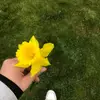 . - @yk.jodi.cote31 - TikTok