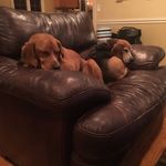Jodi Crowe - @crowe.jodi - Instagram