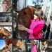 Jodi Dahl - Facebook