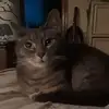 Jodi Daugherty - @jodidaugherty0 - TikTok