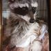 Jody Daugherty - Facebook