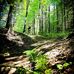 Jody Dawson - Facebook