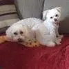 Jodi Dakin - @jodidakin - TikTok