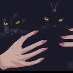 Jodi M Daykin - @jodidaykin - Instagram