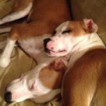 Jody Dickson - @jodypdicksonjr - Instagram
