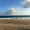 realjodidossc - @realjodidossc - TikTok
