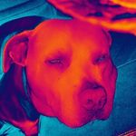 Jody Dotson - @jodydotson1943 - Instagram
