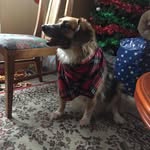 Jodi Downey - @jodi.downey.1426 - Instagram
