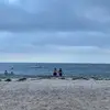 jodi - @jodidwyer - TikTok