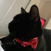 Jodie A - @jodie_ads - TikTok