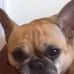 Jodi Ehlers - Facebook