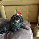 Jody Everett - Facebook
