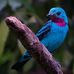 Jodi Farmer - Facebook