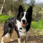 Jodi Farmer - @jodester4 - Instagram