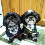 Jodi Farmer-Phelps - @farmerphelps - Instagram