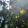 JodiFarmer - @klingjtbahb - TikTok